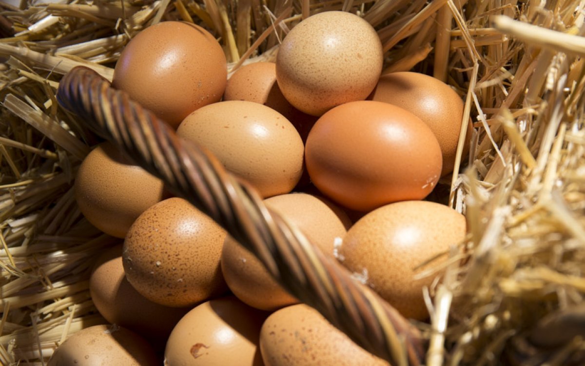 Aliments per al confinament: ou