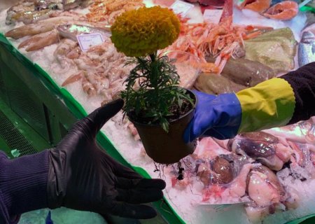 La Boqueria regala flors als clients