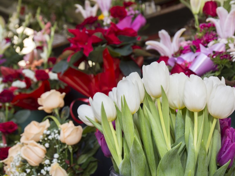 La Flor de la Rambla