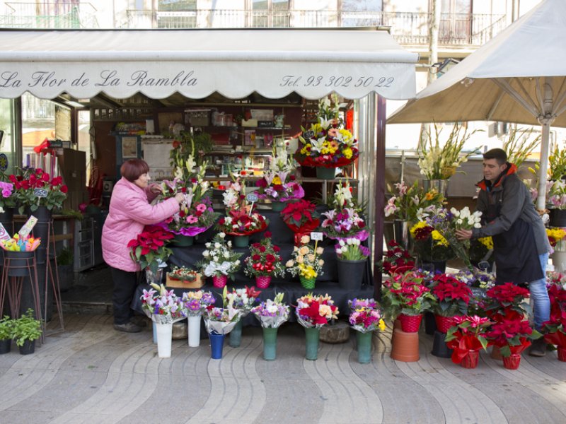 La Flor de la Rambla