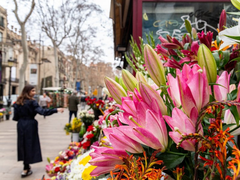 La Flor de la Rambla