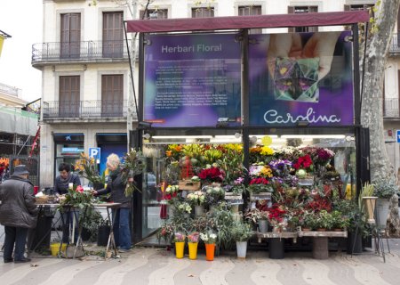 Flors Carolina