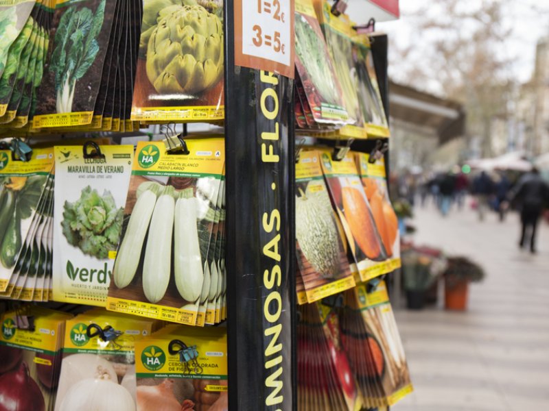 Llavors del Món