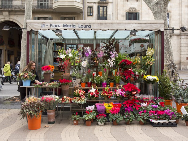 Flors Maria Laura