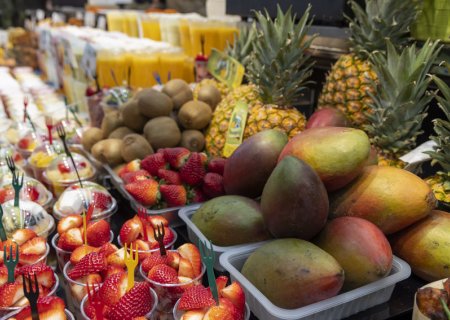 Molt Bo Market