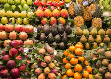 Fruites i verdures Vidal Pons