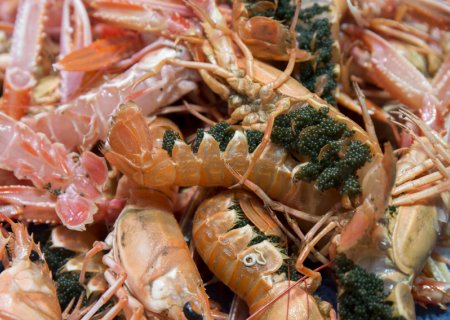 Sea Food Molt bo