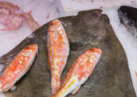 Peixos Marta