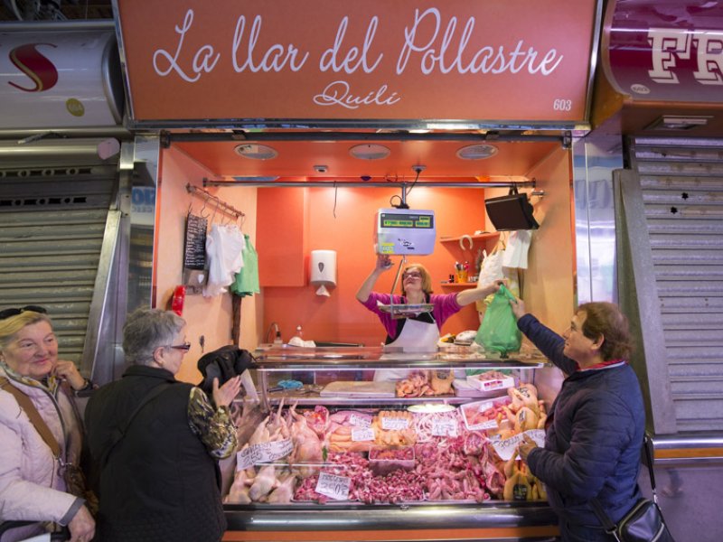 La llar del pollastre Quili