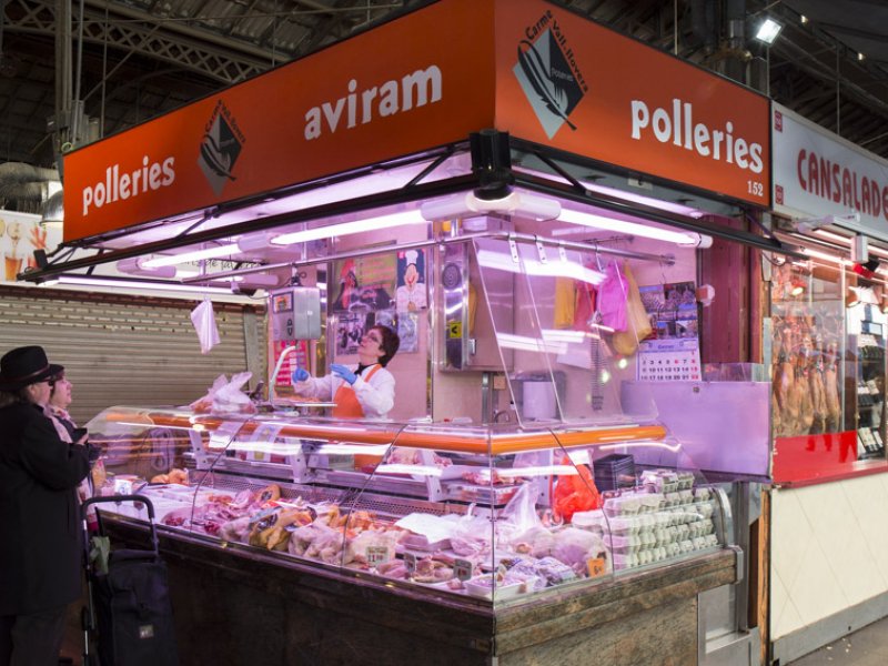 Aviram Vall-llovera