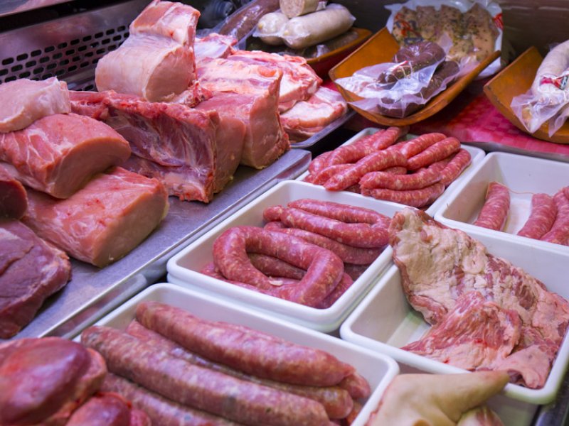 Xarcuteria Ayala